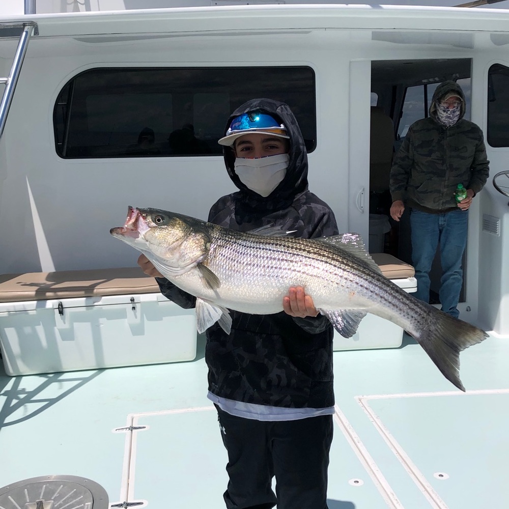 Meet your Posher, Shaun